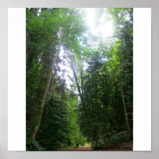 Ein Waldspaziergang Poster