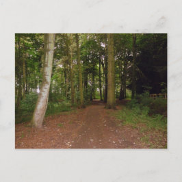 Ein Waldspaziergang. Postkarte