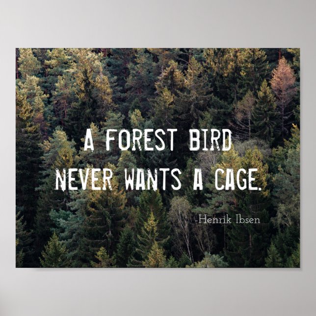 Ein Waldvogel Will nie ein Käfigdesign Poster (Vorne)
