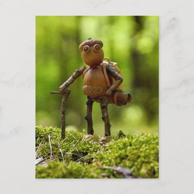 Ein Wanderer auf der Reise. Summer Camping Postkarte (Vorderseite)