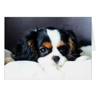 Ein was für Gesicht