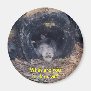 Ein was für Tag! - Magnet