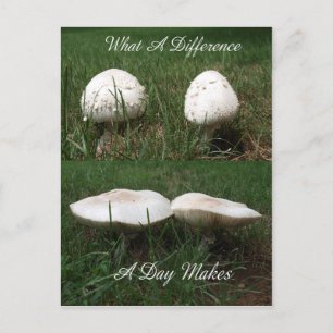 Ein was für Unterschied ein Tag macht Postkarte