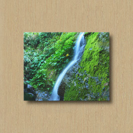 Ein Wasserfall in der Wildnis Leinwanddruck
