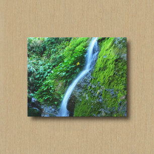 Ein Wasserfall in der Wildnis Leinwanddruck