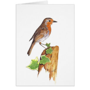 Ein watchfull Robin, feine Kunst, Wasserfarbe