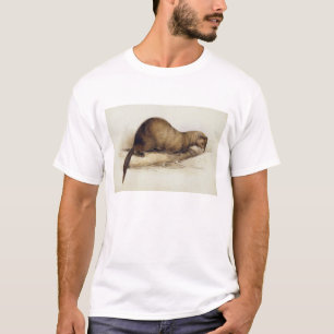 Ein Weasel, 1832 (w/c, Stift, Tinte, Gouache und T-Shirt