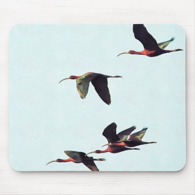 Ein Wedge von Ibises im Flug Mousepad (Vorne)