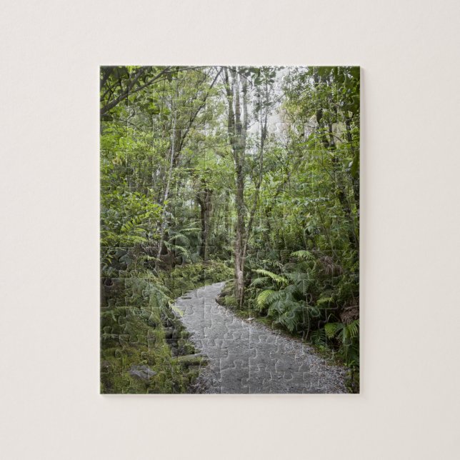 Ein Weg durch einen Regenwald an der Basis von Puzzle (Vertikal)