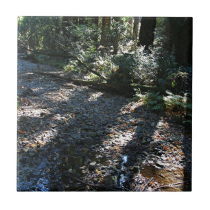 Ein Weg in Muir Holz Fliese