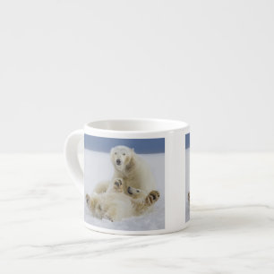 Ein weiblicher Eisbär und ihr Junges spielen im Sc Espressotasse