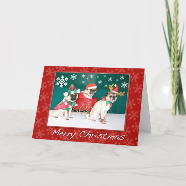 Ein Weihnachten des Mops-drei (Vorderseite)