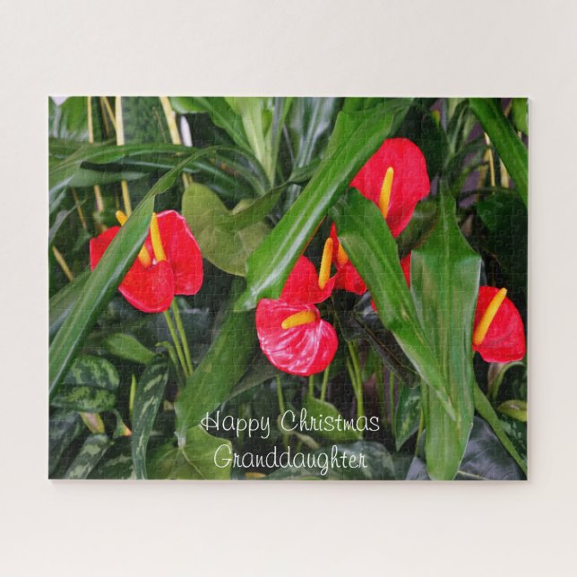 Ein Weihnachtsgeschenk für meine Enkelin. Puzzle (Horizontal)