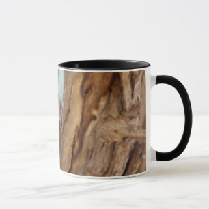 Ein Weißbrust-Schlangeneagle Tasse