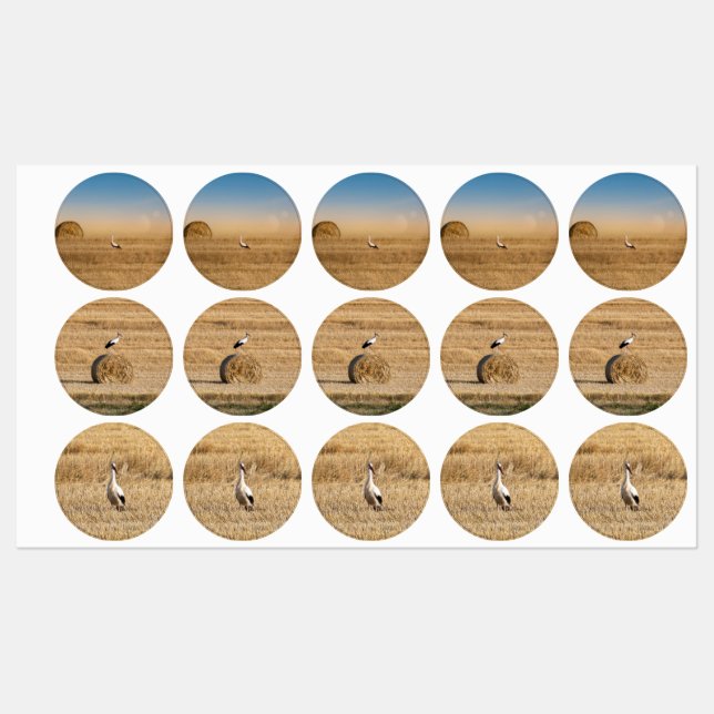 Ein weißer Storch Etiketten (Blatt)