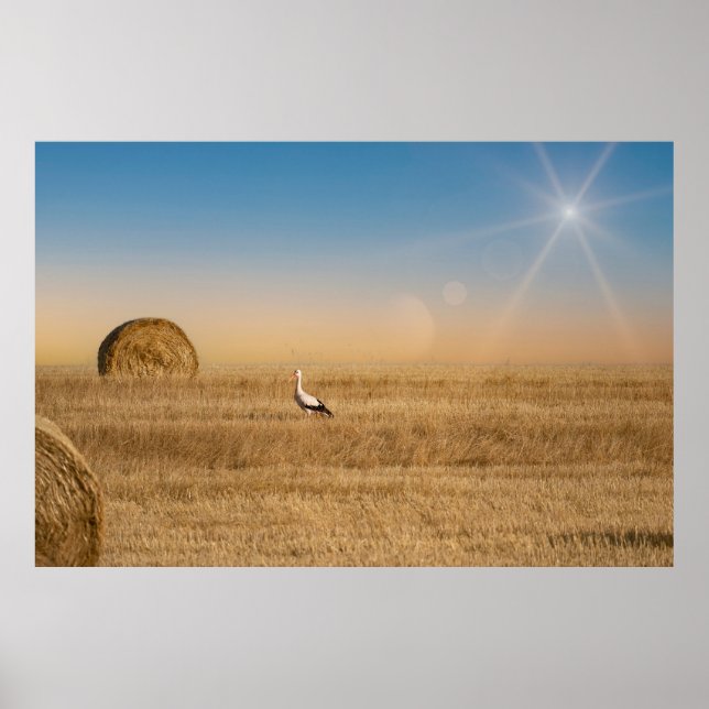 Ein weißer Storch Poster (Vorne)