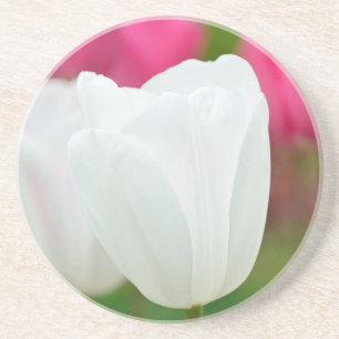 Ein weißer Tulip Getränkeuntersetzer