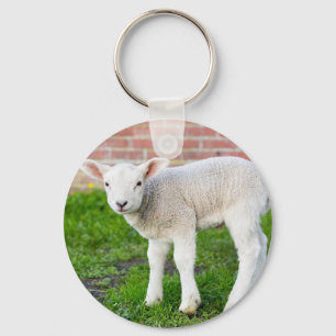 Ein weißes neugeborenes Lamm stehend im grünen Schlüsselanhänger
