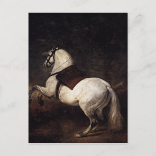Ein weißes Pferd von Diego Velazquez Postkarte