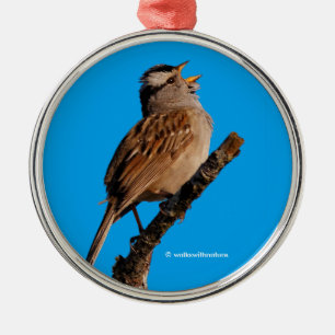 Ein weißgekrönter Sparrow singt zur Sonne Ornament Aus Metall