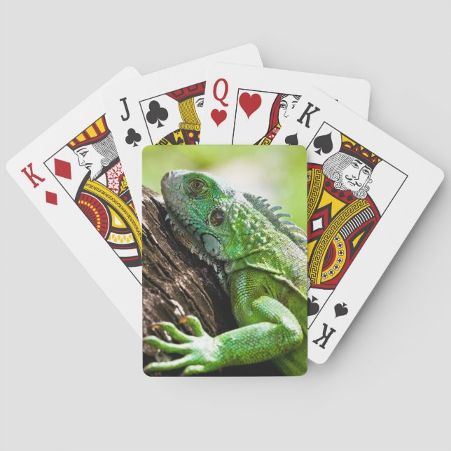 ein weiterer grüner Tag Spielkarten (Rückseite)