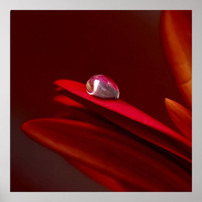 Ein weiterer Stein in der Wand Poster (Vorne)