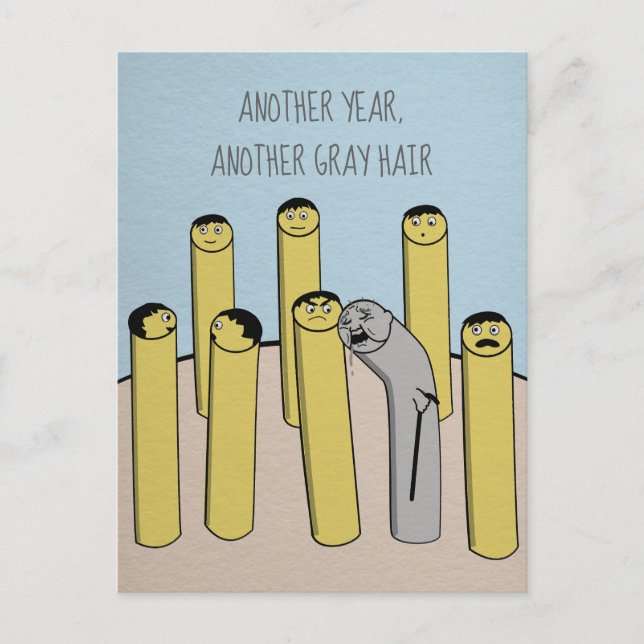 Ein weiteres Jahr graues Haar Funny Old Birthday P Postkarte (Vorderseite)