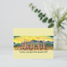 Ein weiteres sonniges Kaninchen-Kaninchen Postkarte