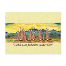 Ein weiteres sonniges Kaninchen-Kaninchen