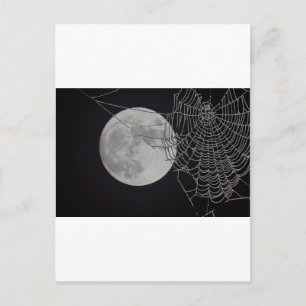 Ein weltweites Web Postkarte