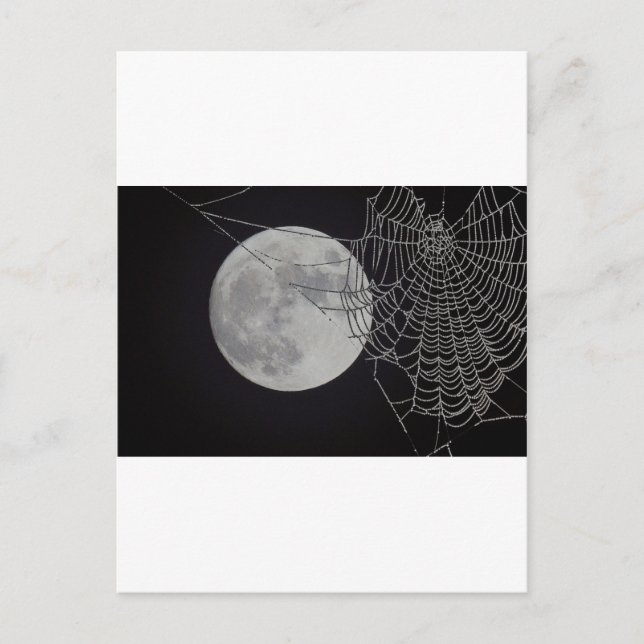 Ein weltweites Web Postkarte (Vorderseite)