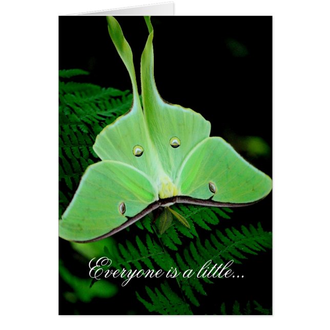 Ein wenig irisches (Vorne)