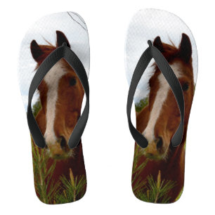 "Ein Whiff der Natur: Ein Kastanienpferd und Banks Flip Flops