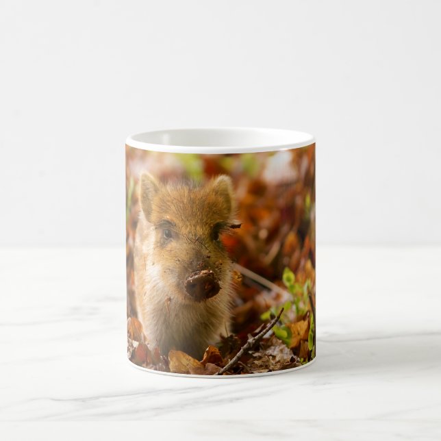 Ein wilder Eber-FerkelSus Scrofa im Herbst-Blätter Kaffeetasse (Mittel)