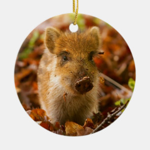 Ein wilder Eber-FerkelSus Scrofa im Herbst-Blätter Keramik Ornament