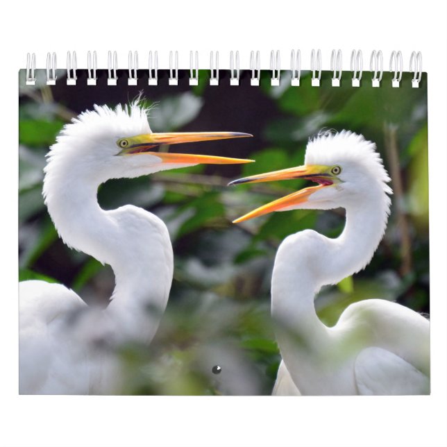 Ein wilder Kalender mit Fotos wild lebender Tiere (Titelbild)