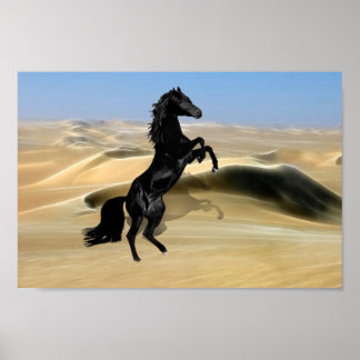 Ein wilder schwarzer Hengst Poster