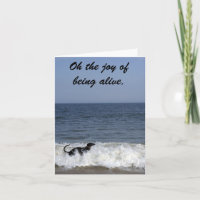 Ein Windhund, der das Surfen genießt.