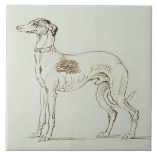 Ein Windhund, Gegenüberstellen verlassen (Stift u Fliese