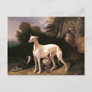 Ein Windhund in einer ausgedehnten Landschaft von Postkarte