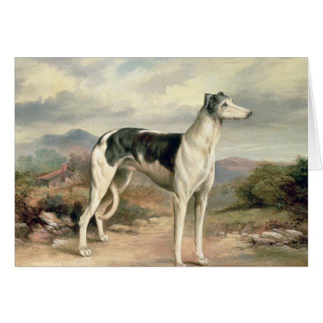 Ein Windhund in einer hügeligen Landschaft (Vorderseite (Horizontal))