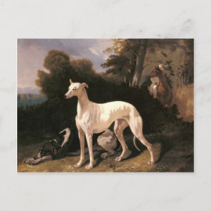 Ein Windhund in einer weiten Landschaft von de Dre Postkarte