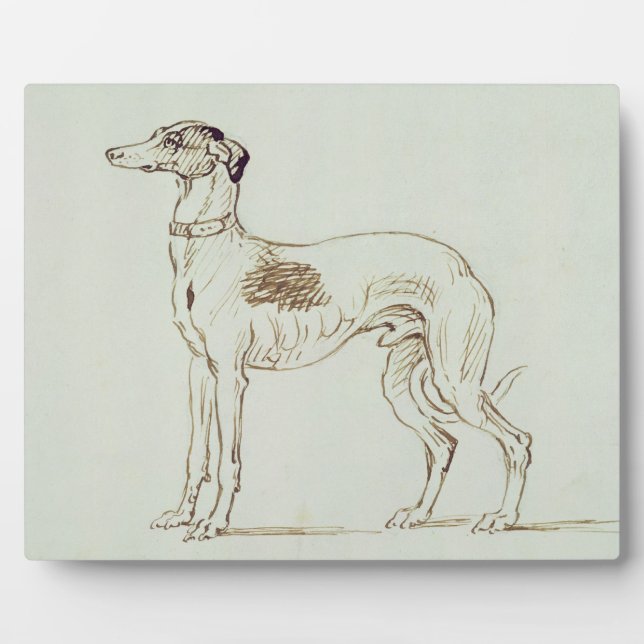 Ein Windhund, Links (Stift & Tinte auf Papier) Fotoplatte (Vorderseite)