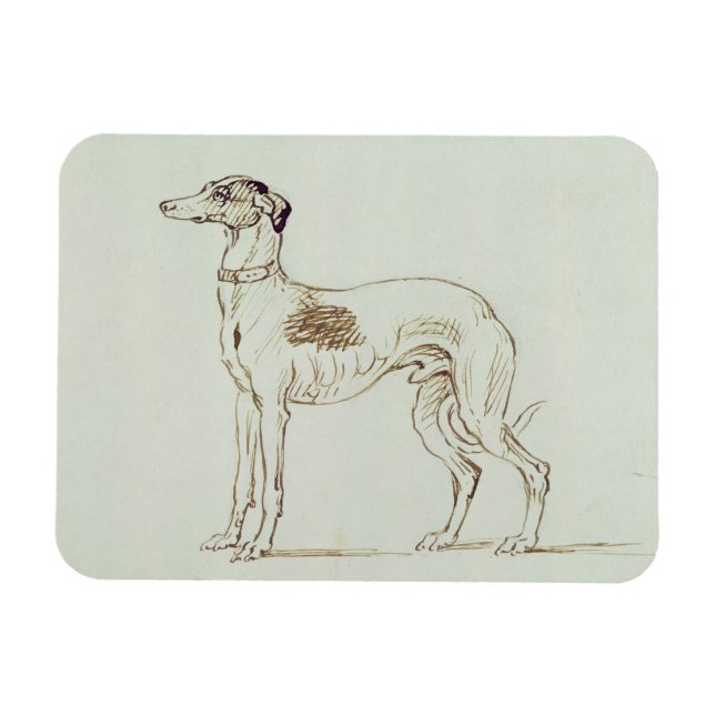 Ein Windhund, Links (Stift & Tinte auf Papier) Magnet (Horizontal)