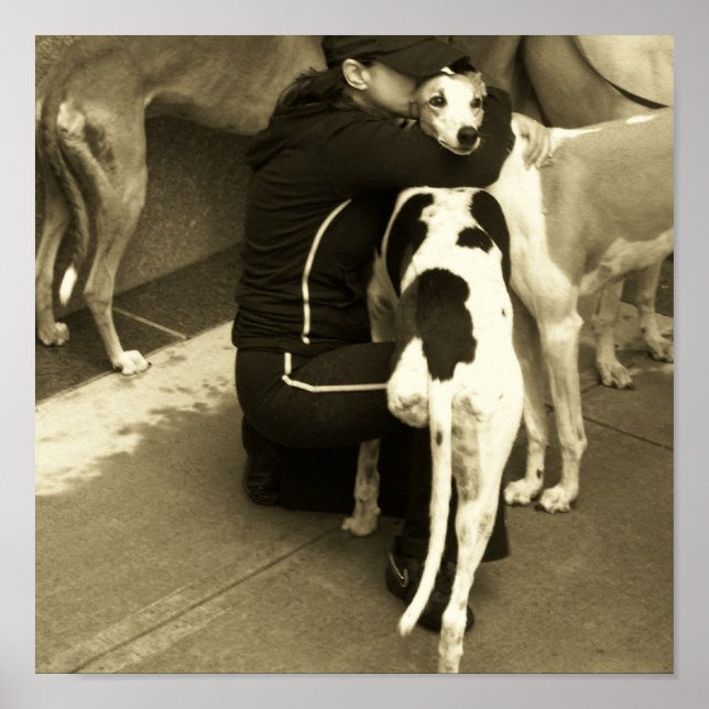 ein Windhund mit drei Beinen Poster (Vorne)