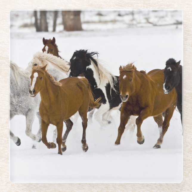 Ein winterlicher landschaftlicher Laufpferde Glasuntersetzer (Vorderseite)