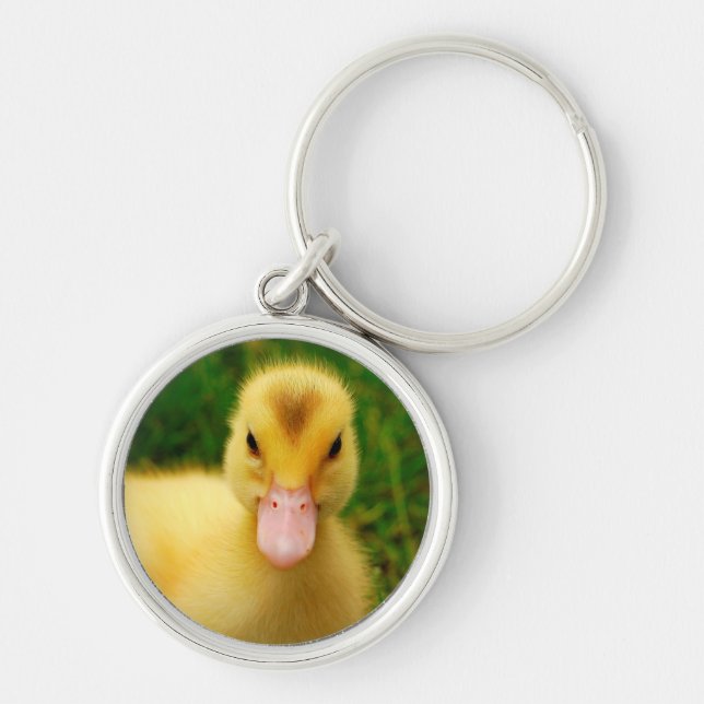 Ein winziges Duckling Schlüsselanhänger (Vorne)