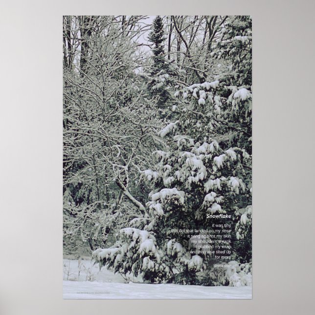 Ein winziges Snowflake-Gedicht, Winterlandschaft Poster (Vorne)