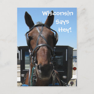 Ein Wisconsin Hey! Postkarte