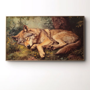 Ein Wolf, der im Wald schläft Poster